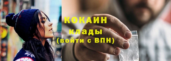 бошки Горняк