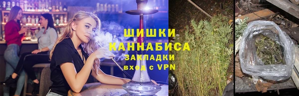 стаф Горнозаводск